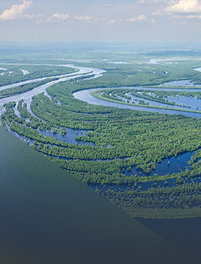 Круглый стол «Проблемы экологии водных объектов Среднего Приобья» прошел в СурГУ